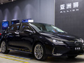 亚洲狮 图片