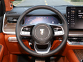 坦克500 3.0T 商務(wù)版 登峰型5座2022款