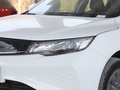 帝豪新能源 EV Pro網(wǎng)約版
免稅
2021款