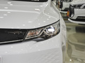 帝豪新能源 EV Pro 網(wǎng)約版 磷酸鐵鋰2022款