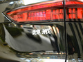 摩卡 圖片