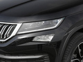 柯迪亚克 图片