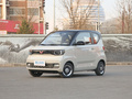 五菱宏光MINIEV 馬卡龍時尚款磷酸鐵鋰2021款