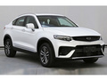 星越 2.0T基本型2021款