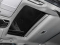 傲虎 图片
