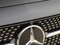 奔驰E级 改款 E 300 L尊贵运动型2021款