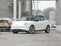 欧拉好猫 400km标准续航 雅典娜版三元锂2021款
