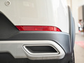 瑞虎3x 钻石版 1.5L CVT3克拉-I型2021款