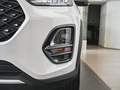 瑞虎3x 钻石版 1.5L CVT3克拉-I型2021款