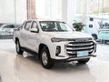 上汽大通MAXUS T90新能源 精英型2021款