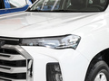 上汽大通MAXUS T90新能源 精英型2021款