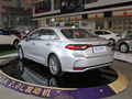 亚洲狮 2.0L尊贵版2021款