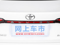 亚洲狮 图片