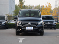 威霆 2.0T 精英版7座2021款