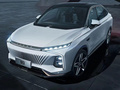 鯨 2.0T藍(lán)鯨版2022款