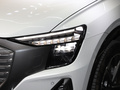 奥迪Q5 e-tron 图片