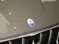 Levante 2.0TGT锋芒版2022款