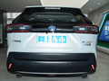 威兰达新能源 2.5L 两驱劲擎版2021款