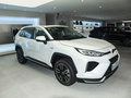威兰达新能源 2.5L 两驱劲擎版2021款