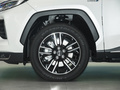 威兰达新能源 2.5L 两驱劲擎版2021款