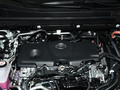 威兰达新能源 2.5L 两驱劲擎版2021款
