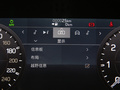 衛(wèi)士 圖片