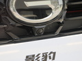 影豹 图片