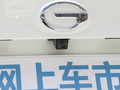 影豹 图片