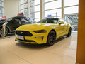Mustang 图片