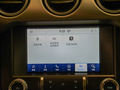 Mustang 圖片