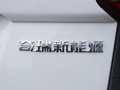 小蚂蚁 图片