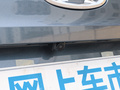 小蚂蚁 图片