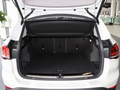 宝马X1 改款 xDrive25Li尊享型2021款