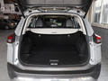 奇駿 VC-Turbo 300 CVT4WD尊享版2021款