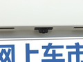 欧拉黑猫 图片
