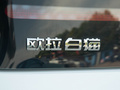 歐拉白貓 圖片