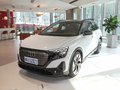 奥迪Q5 e-tron 图片