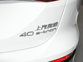 奥迪Q5 e-tron 图片