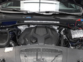 Macan 图片