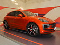 Macan Macan S2.9T2022款