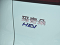 玛奇朵DHT 图片