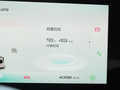 欧拉芭蕾猫 图片