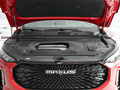 上汽大通MAXUS D60 1.5T 自動(dòng)潮版6座2022款