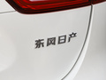 逍客 圖片