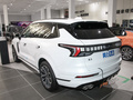 領克09新能源 2.0T PHEV Ultra六座2021款