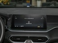 炫界Pro EV 图片