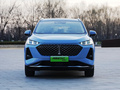 瑪奇朵DHT-PHEV 1.5L大師版2021款