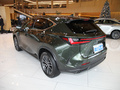 雷克薩斯NX 260 前驅(qū)創(chuàng)悅版2022款
