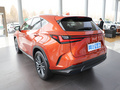 雷克薩斯NX 260 前驅(qū)創(chuàng)享版2022款