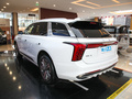 红旗E-HS9 690km 旗享版六座2022款